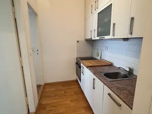 Pronájem bytu 2+kk, Praha - Vinohrady, V Horní Stromce, 47 m2