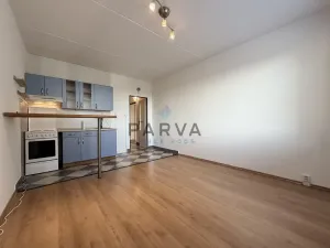 Pronájem bytu 1+1, Plzeň - Bolevec, Žlutická, 47 m2