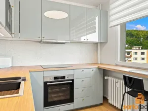 Prodej bytu 1+1, Ústí nad Labem, Jizerská, 42 m2
