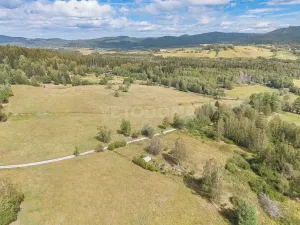 Prodej pozemku pro bydlení, Nová Pec, 2451 m2