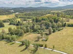 Prodej pozemku pro bydlení, Nová Pec, 2451 m2
