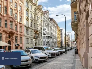 Pronájem bytu 2+1, Praha - Nové Město, Gorazdova, 57 m2