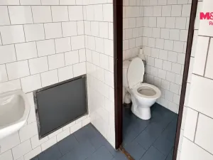 Pronájem obchodního prostoru, Česká Třebová - Parník, Ústecká, 80 m2
