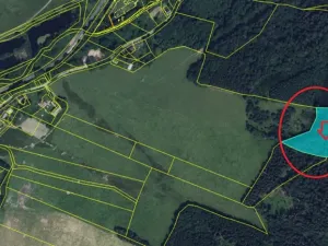 Prodej podílu lesa, Červená Voda, 5759 m2