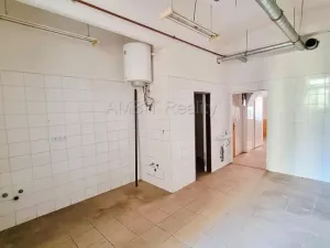 Pronájem obchodního prostoru, Praha, Bořivojova, 49 m2