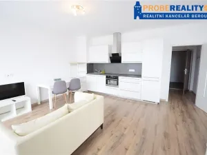 Pronájem bytu 1+kk, Beroun, Na Veselou, 42 m2