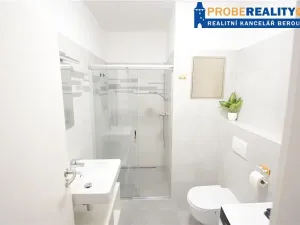 Pronájem bytu 1+kk, Beroun, Na Veselou, 42 m2