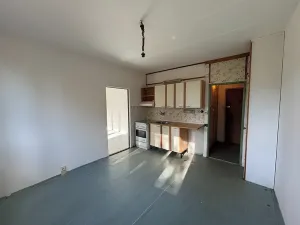 Pronájem bytu 1+1, Plzeň, Karla Steinera, 36 m2