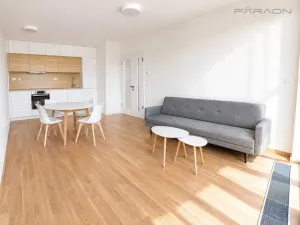 Pronájem bytu 2+kk, Praha - Karlín, Švarcova, 55 m2
