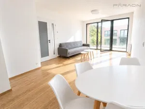 Pronájem bytu 2+kk, Praha - Karlín, Švarcova, 55 m2