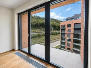 Pronájem bytu 2+kk, Praha - Karlín, Švarcova, 55 m2