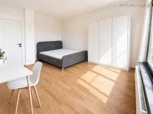 Pronájem bytu 2+kk, Praha - Karlín, Švarcova, 55 m2