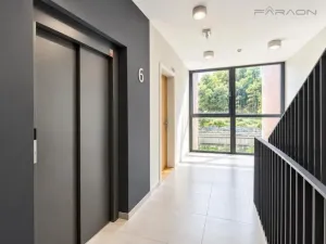 Pronájem bytu 2+kk, Praha - Karlín, Švarcova, 55 m2