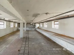 Pronájem skladu, Tábor, Pod Kozím hrádkem, 185 m2