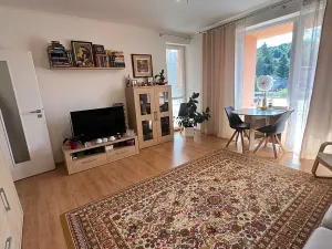 Prodej bytu 1+1, Karlovy Vary, Spálená, 50 m2