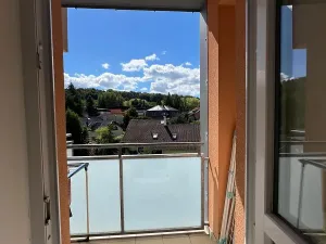 Prodej bytu 1+1, Karlovy Vary, Spálená, 50 m2