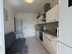 Prodej bytu 1+1, Karlovy Vary, Spálená, 50 m2