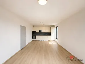 Pronájem bytu 2+kk, Plzeň - Jižní Předměstí, Železná, 57 m2