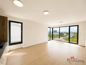 Pronájem bytu 2+kk, Plzeň - Jižní Předměstí, Železná, 57 m2