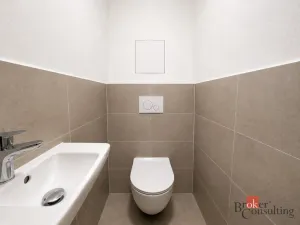 Pronájem bytu 2+kk, Plzeň - Jižní Předměstí, Železná, 57 m2
