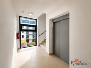 Pronájem bytu 2+kk, Plzeň - Jižní Předměstí, Železná, 57 m2