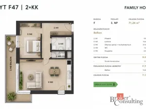 Pronájem bytu 2+kk, Plzeň - Jižní Předměstí, Železná, 57 m2