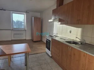 Pronájem bytu 1+kk, Sudkov, 41 m2