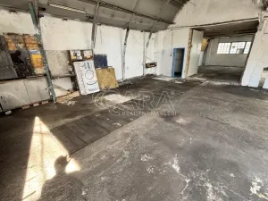 Pronájem výrobních prostor, Kladno - Dubí, Dubská, 192 m2