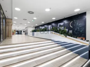 Pronájem obchodního prostoru, Praha, Sokolovská, 82 m2