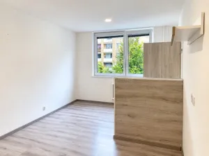 Pronájem bytu 2+1, Brno, Novoměstská, 61 m2