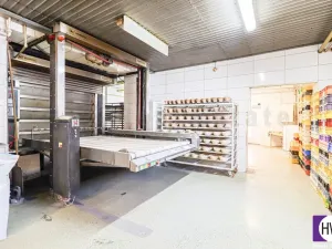 Prodej obchodního prostoru, Ostrava - Mariánské Hory, Daliborova, 642 m2
