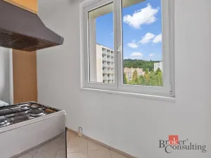 Prodej bytu 2+kk, Tanvald, Sportovní, 55 m2