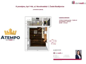 Pronájem bytu 1+kk, České Budějovice - České Budějovice 6, Novohradská, 21 m2