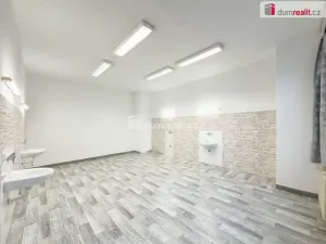 Pronájem obchodního prostoru, České Budějovice - České Budějovice 2, J. Opletala, 216 m2