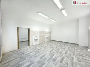 Pronájem obchodního prostoru, České Budějovice - České Budějovice 2, J. Opletala, 216 m2