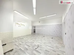 Pronájem obchodního prostoru, České Budějovice - České Budějovice 2, J. Opletala, 216 m2