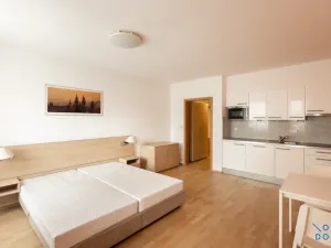 Pronájem bytu 1+kk, Praha - Žižkov, Kališnická, 32 m2
