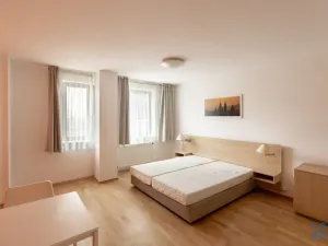 Pronájem bytu 1+kk, Praha - Žižkov, Kališnická, 32 m2
