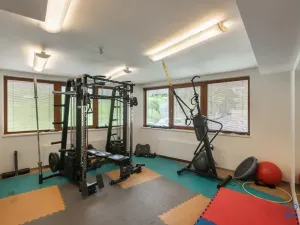 Pronájem bytu 1+kk, Praha - Žižkov, Kališnická, 32 m2