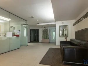 Pronájem bytu 1+kk, Praha - Žižkov, Kališnická, 32 m2