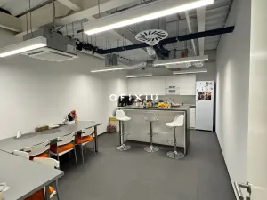 Pronájem kanceláře, Brno, Lazaretní, 300 m2