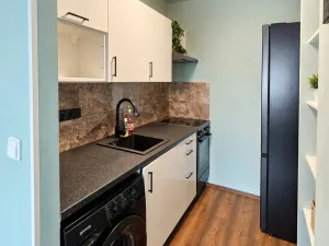 Pronájem bytu 1+kk, Praha, Květnového vítězství, 55 m2