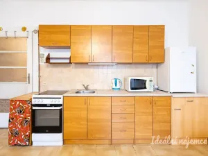 Pronájem bytu 1+kk, Praha - Žižkov, Jana Želivského, 30 m2
