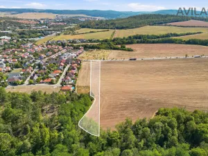 Prodej pozemku pro bydlení, Babice u Rosic, 4169 m2