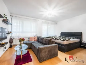Prodej bytu 1+kk, Brno - Líšeň, Holzova, 40 m2
