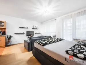 Prodej bytu 1+kk, Brno - Líšeň, Holzova, 40 m2