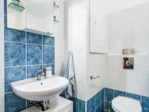Prodej bytu 1+kk, Brno - Líšeň, Holzova, 40 m2