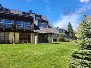 Prodej bytu 1+kk, Říčky v Orlických horách, 55 m2