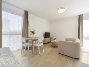 Pronájem bytu 1+kk, Brno, Auerswaldova, 38 m2