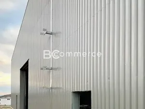 Pronájem skladu, Boskovice, Průmyslová, 4900 m2